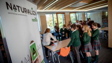 »El zumo no sale del brick, sale de las naranjas» o la importancia de la educación ambiental